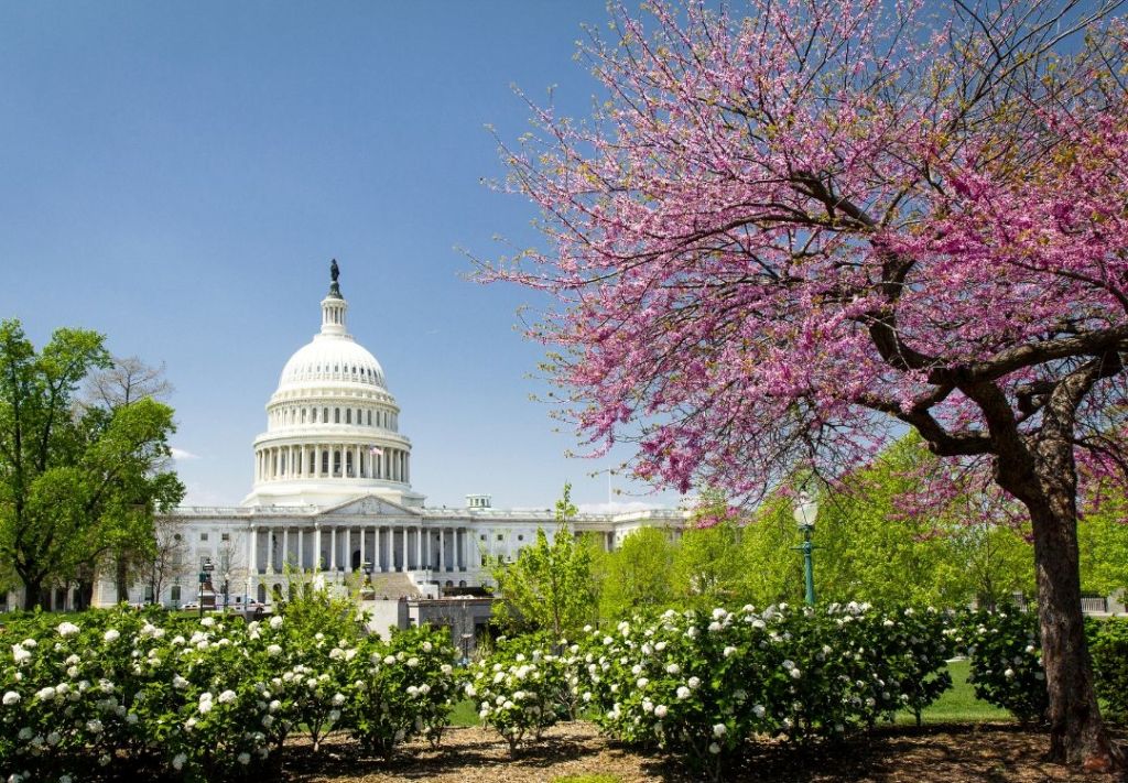 Clima, final del invierno en Washington DC