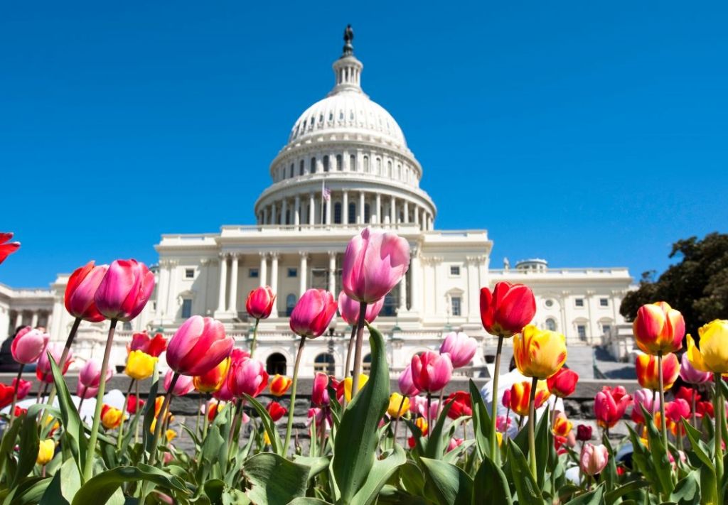 Clima, final del invierno en Washington DC