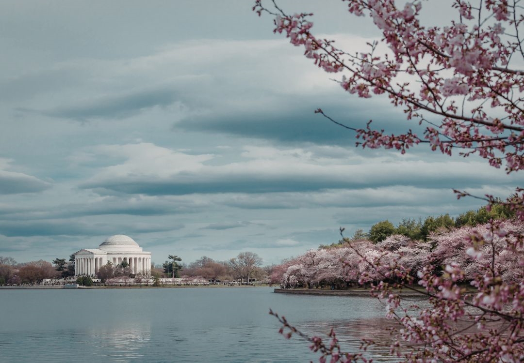 Washington DC bajo alerta por heladas