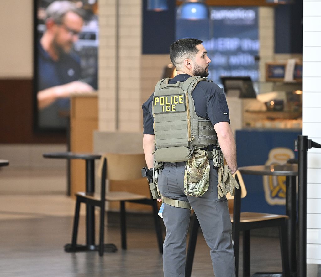 ICE agents assist airport security operations during US government shutdown