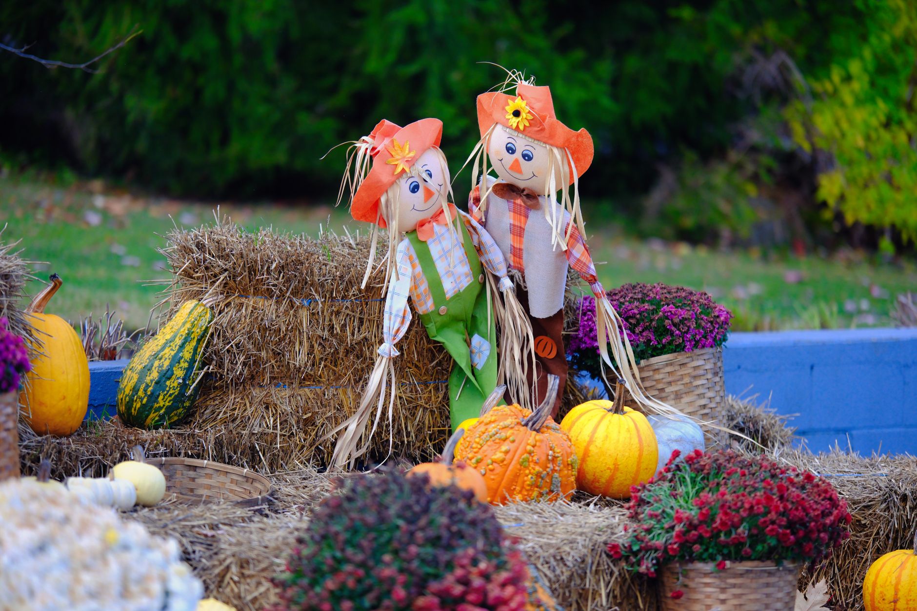 scarecrows and pumpkins in vibrant autumn display